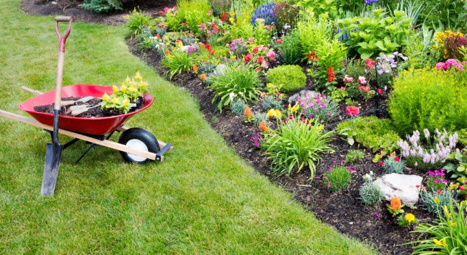 garden-maintenance1